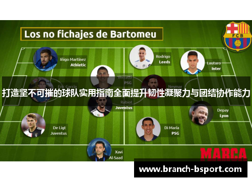 打造坚不可摧的球队实用指南全面提升韧性凝聚力与团结协作能力