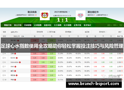 足球心水指数使用全攻略助你轻松掌握投注技巧与风险管理