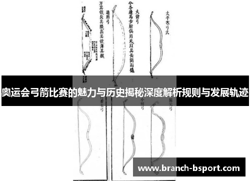 奥运会弓箭比赛的魅力与历史揭秘深度解析规则与发展轨迹