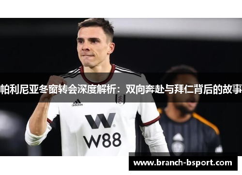 帕利尼亚冬窗转会深度解析：双向奔赴与拜仁背后的故事