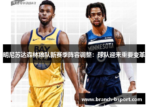 明尼苏达森林狼队新赛季阵容调整：球队迎来重要变革