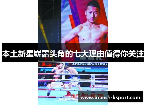 本土新星崭露头角的七大理由值得你关注