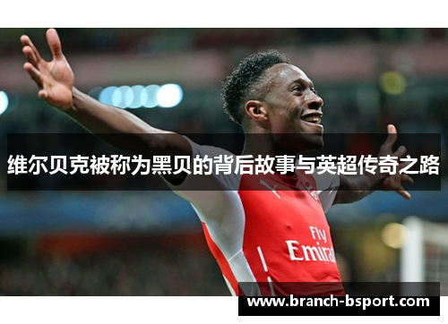 维尔贝克被称为黑贝的背后故事与英超传奇之路