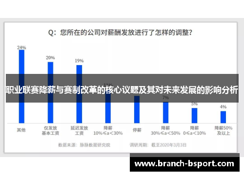 职业联赛降薪与赛制改革的核心议题及其对未来发展的影响分析