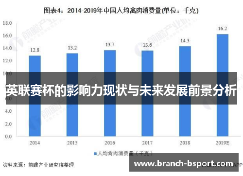 英联赛杯的影响力现状与未来发展前景分析 英联赛杯的影响力现状与未来发展前景分析