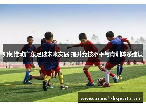 如何推动广东足球未来发展 提升竞技水平与青训体系建设