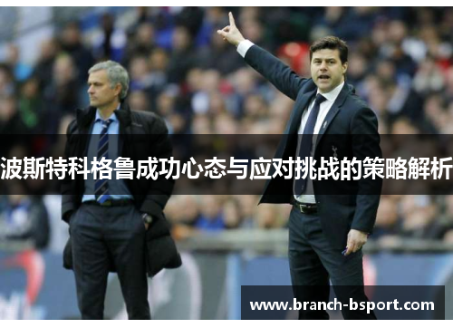 波斯特科格鲁成功心态与应对挑战的策略解析