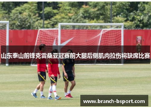 山东泰山前锋克雷桑亚冠赛前大腿后侧肌肉拉伤将缺席比赛